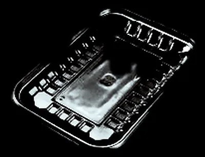 Clear PET trays 2S